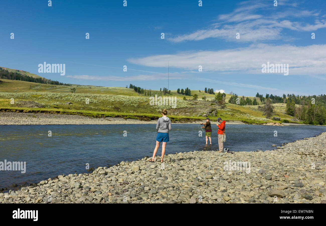 Angler Angeln Sie Forellen am Ufer des Flusses Yellowstone an einem sonnigen Morgen. Stockfoto