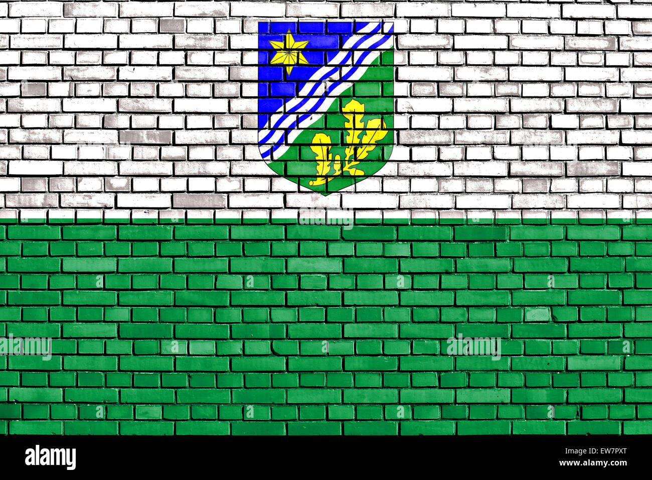 Flagge der Landkreis Tartu auf Mauer gemalt Stockfoto
