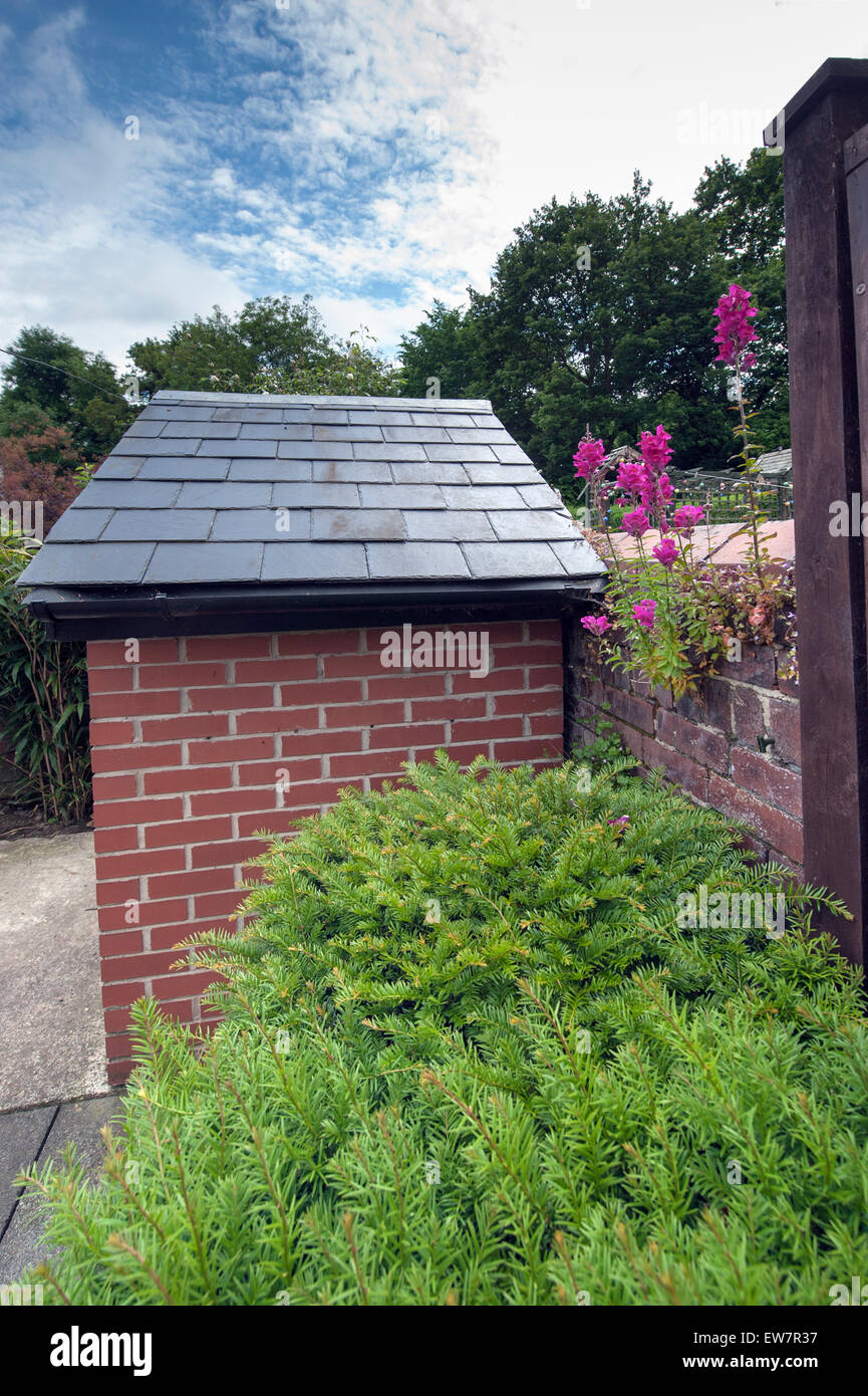 Wildes Rosa Antirrhinum wächst aus einer alten Mauer Ziegelrot Stockfoto
