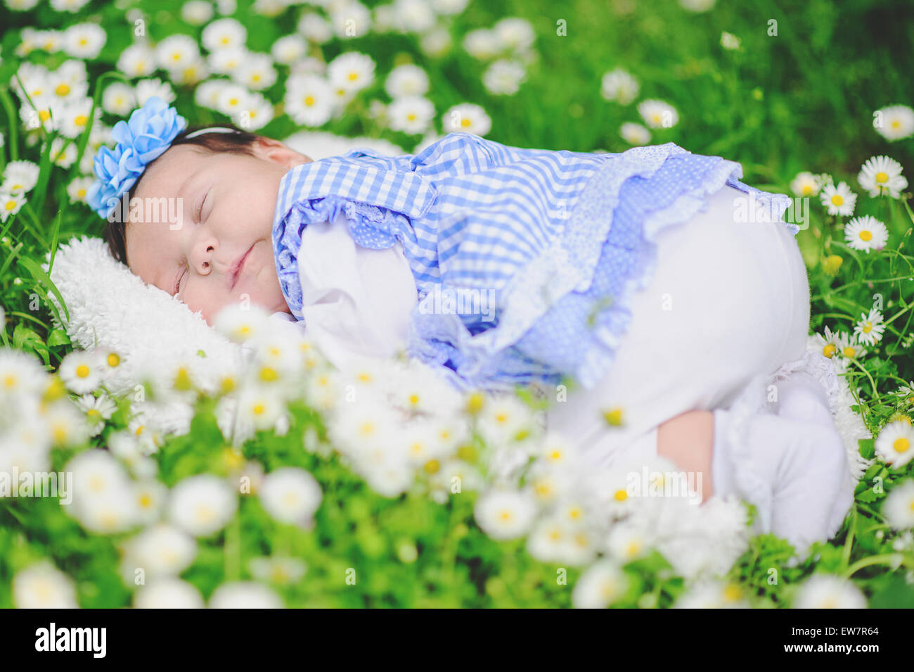 Baby schläft in einem Feld von Gänseblümchen Stockfoto