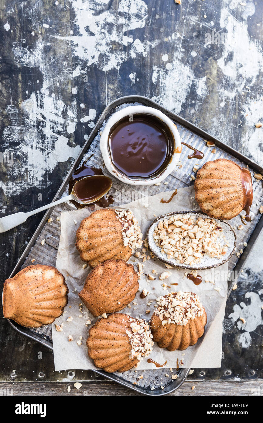 Haselnuss-Madeleines mit Karamell-Sauce auf einem Kuchengitter Stockfoto