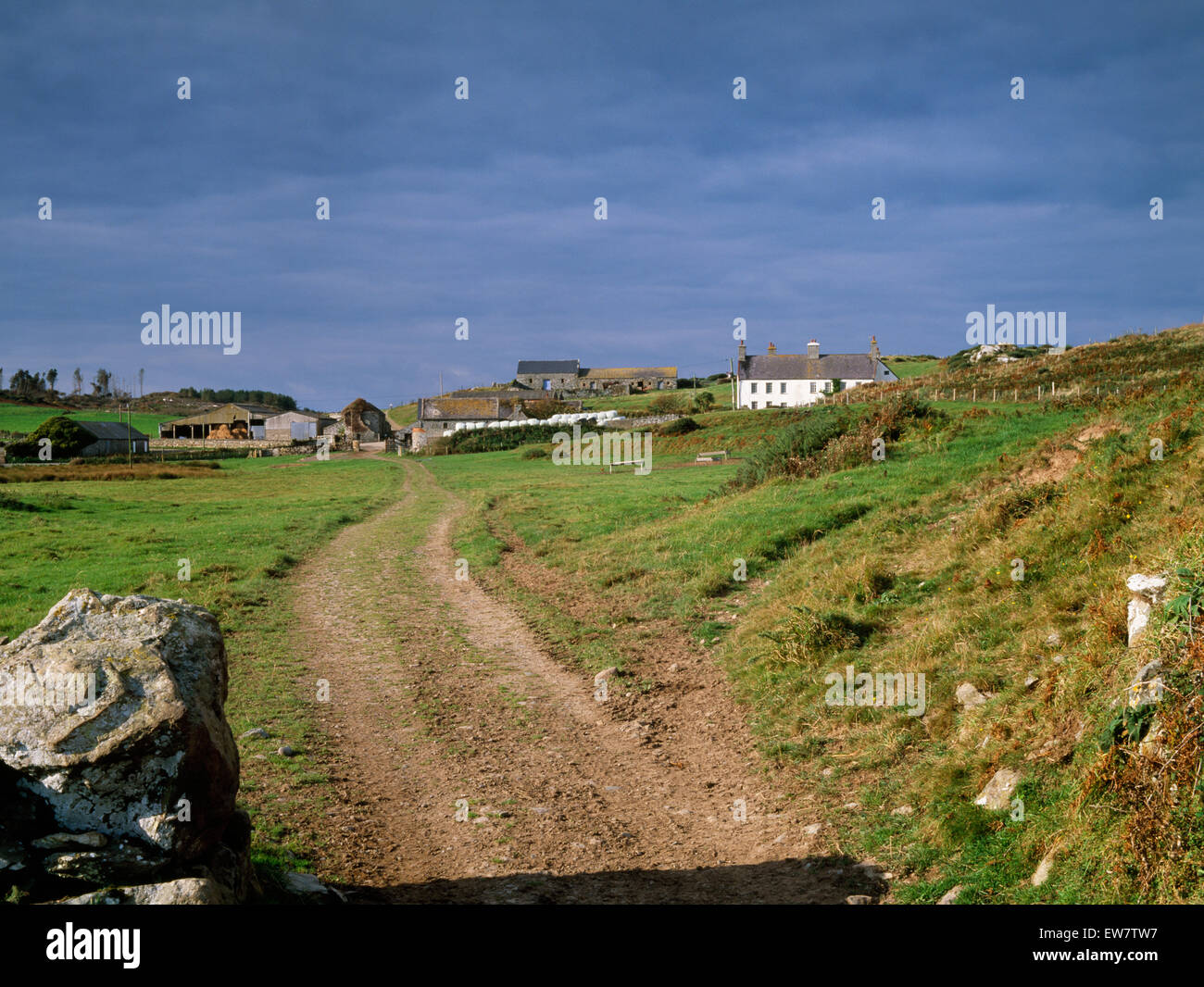 Auf dem Bauernhof Spur & Wanderweg führt durch Mynachdy (Mönch-Haus), Carmel Kopf, Anglesey: ursprünglich eine mittelalterliche klösterliche Grange, jetzt ein National Trust-Bauernhof Stockfoto