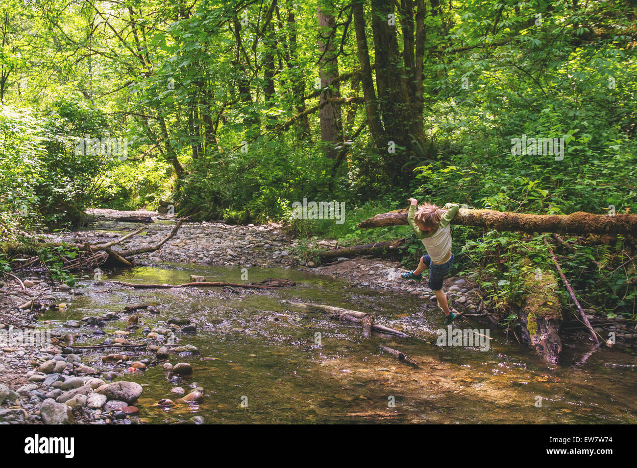 Junge hängt an einem Ast, der über einem Fluss hängt, USA Stockfoto