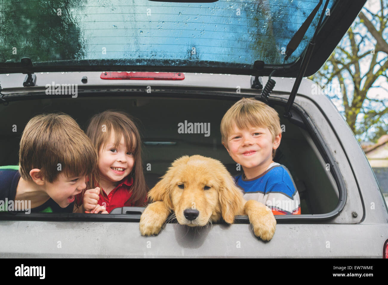 Drei Kinder sitzen im Kofferraum eines Autos mit ihrem neuen Welpen, USA Stockfoto