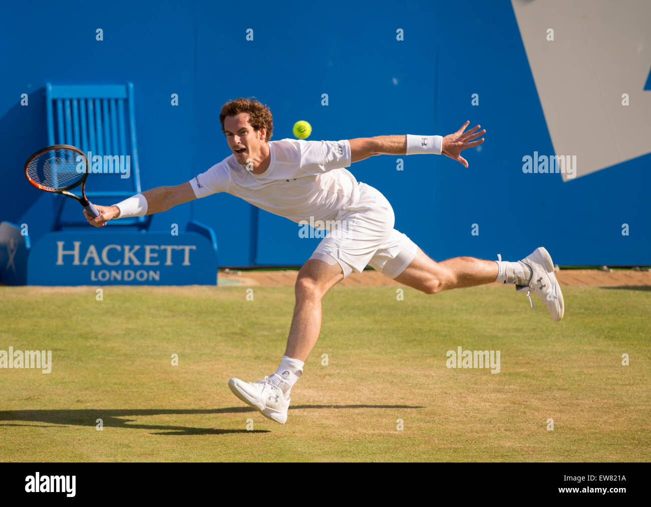 London, UK. 19. Juni 2015. Queens Aegon Championship Tennis. Andy Murrary (GBR) wurden zu laufen um das Gericht im ersten Satz von seinem Gegner Gilles Muller (LUX). Bildnachweis: Aktion Plus Sport/Alamy Live-Nachrichten Stockfoto