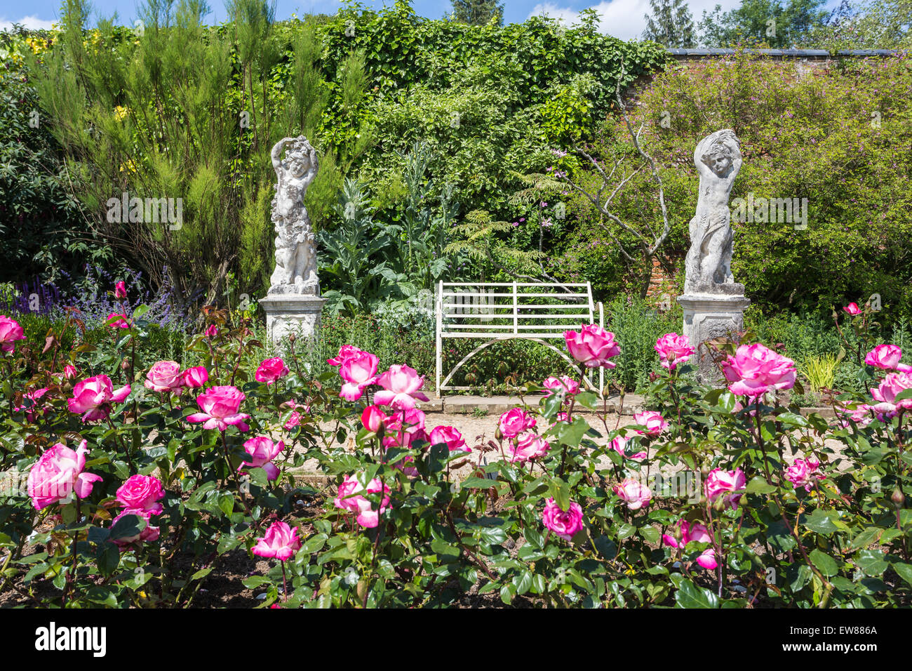 Rosa Teehybride "Rose Guajard' in Frau Greville Garten, Polesden Lacey, Great Bookham, Surrey, UK Stockfoto