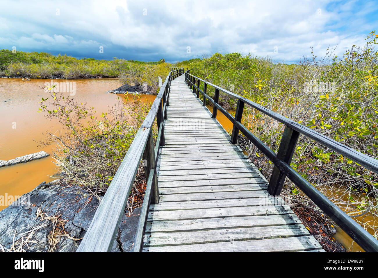 Promenade, auf der Durchreise Insel Isabela auf den Galapagos Inseln in Ecuador Stockfoto