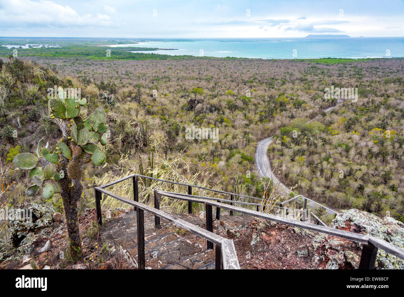 Landschaft der Insel Isabela auf den Galapagos Inseln in Ecuador Stockfoto
