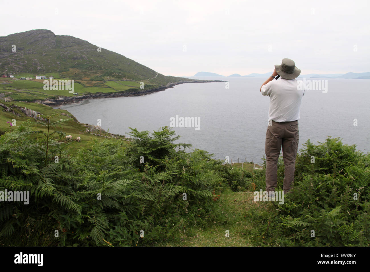 Wildtiere beobachten auf der Beara-Halbinsel in West Cork Stockfoto