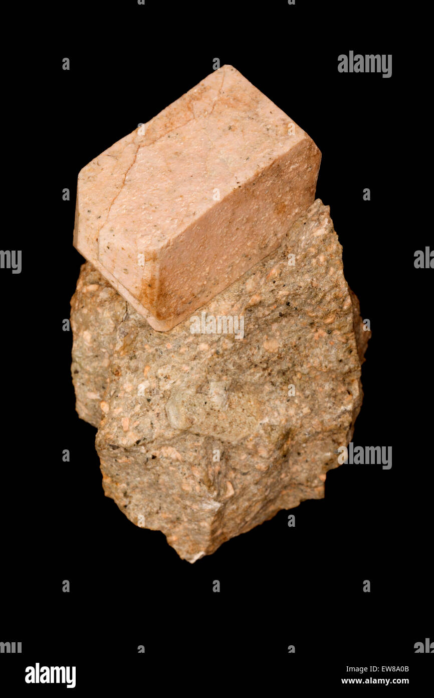 Sanidine ist die Hochtemperatur-Form von Kalium-Feldspat mit einer allgemeinen Formel K(AlSi3O8), in der Nähe von Beaverdell, Britisch-Kolumbien Stockfoto
