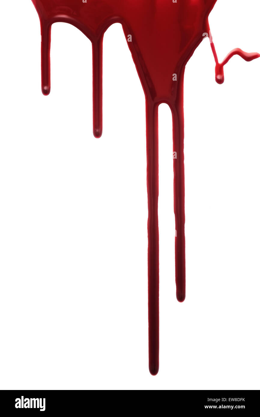 Rote Tropfen Blut isoliert auf weißem Hintergrund Stockfoto