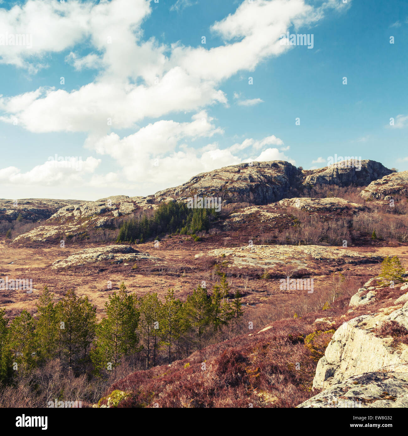 Frühling norwegische Berglandschaft mit bewölktem Himmel und Pinien, getönten Vintage quadratischen Foto mit alten Stil Filterwirkung Stockfoto