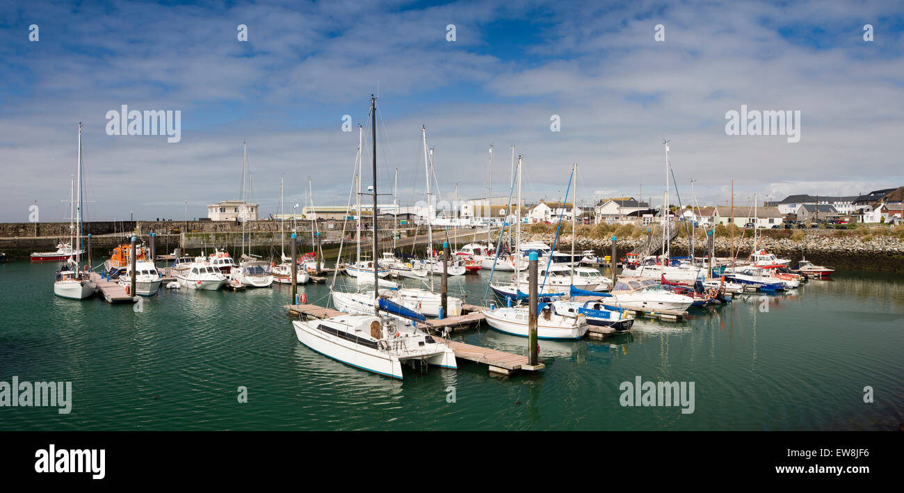 Irland, Co. Wexford, Kilmore Quay, Freizeitboote ankern in der Marina, Panorama Stockfoto