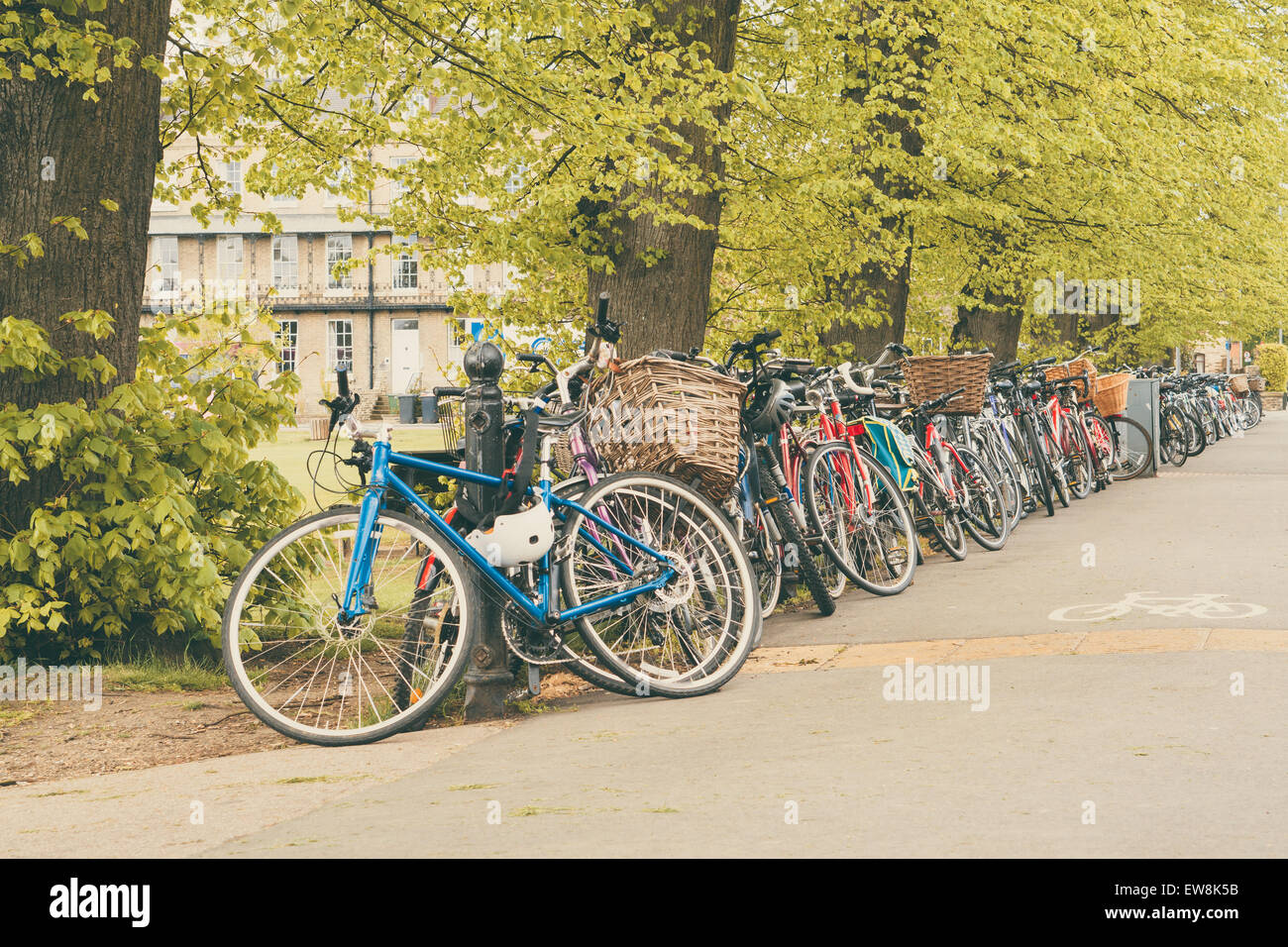 Konzeptbild des studentischen Lebens in Cambdrige, gesperrt Fahrräder neben Parker es Piece, England closeup Stockfoto
