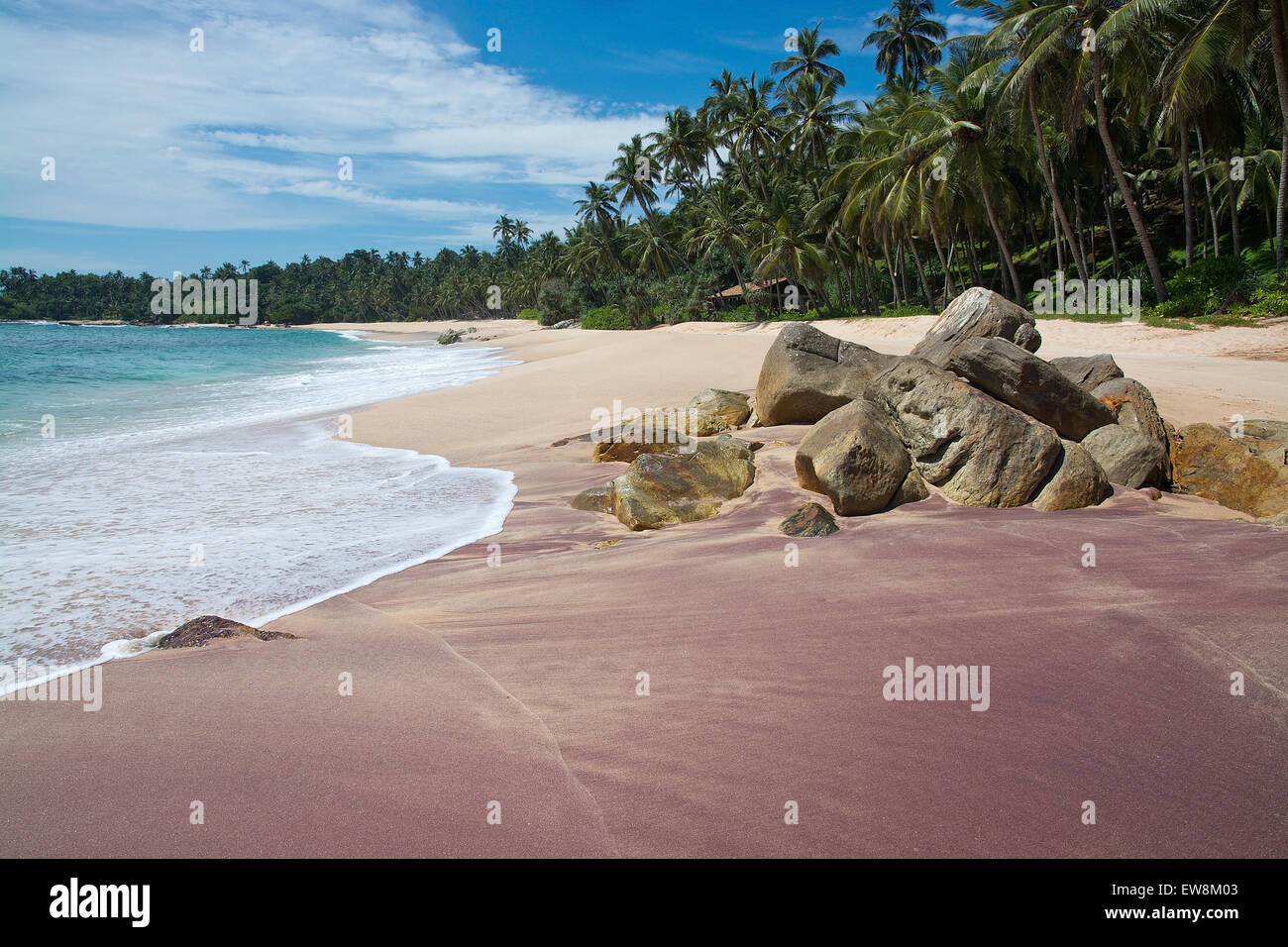 Paradies-Strand mit grünen türkisfarbenen Wellen, Kokosnuss-Palmen und feinen unberührten Sand, südlichen Provinz, Sri Lanka, Asien. Stockfoto