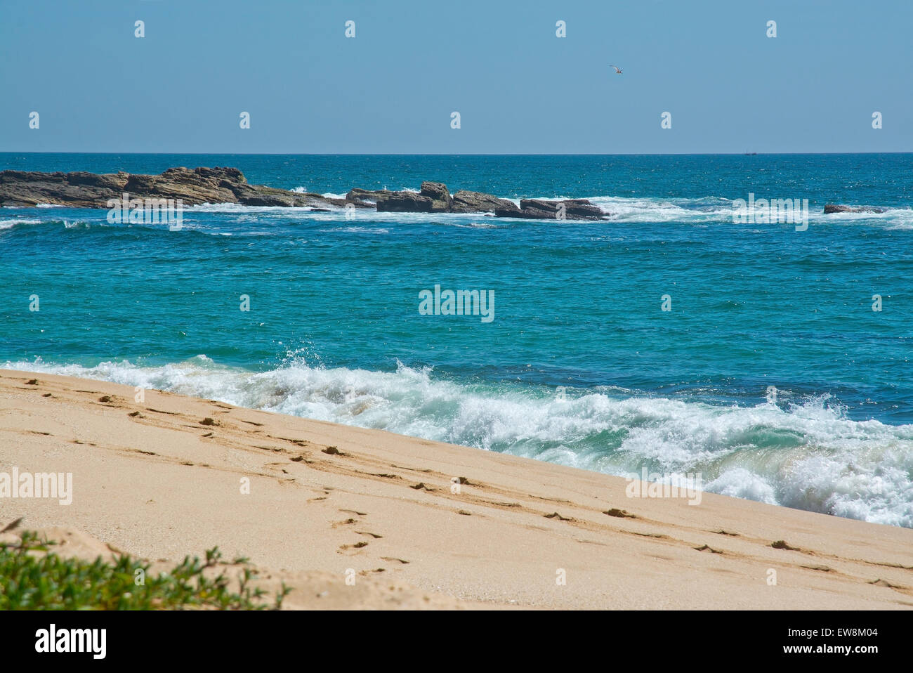 Paradies-Strand mit grünen türkisfarbenen Wellen, Kokosnuss-Palmen und feinen unberührten Sand, südlichen Provinz, Sri Lanka, Asien. Stockfoto