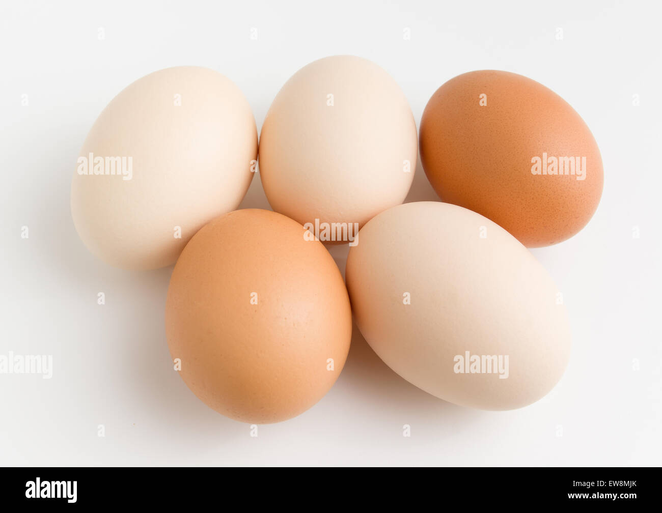 mehrere Hühner Eiern weiße und braune Farben befinden sich auf einem weißen Hintergrund Stockfoto