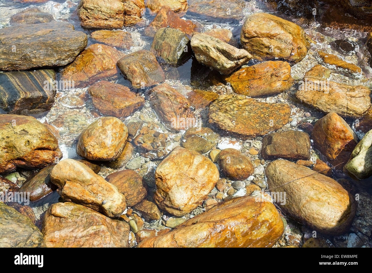 Glatte Felsen im klaren Meer Wasser, Sri Lanka, Asien. Stockfoto