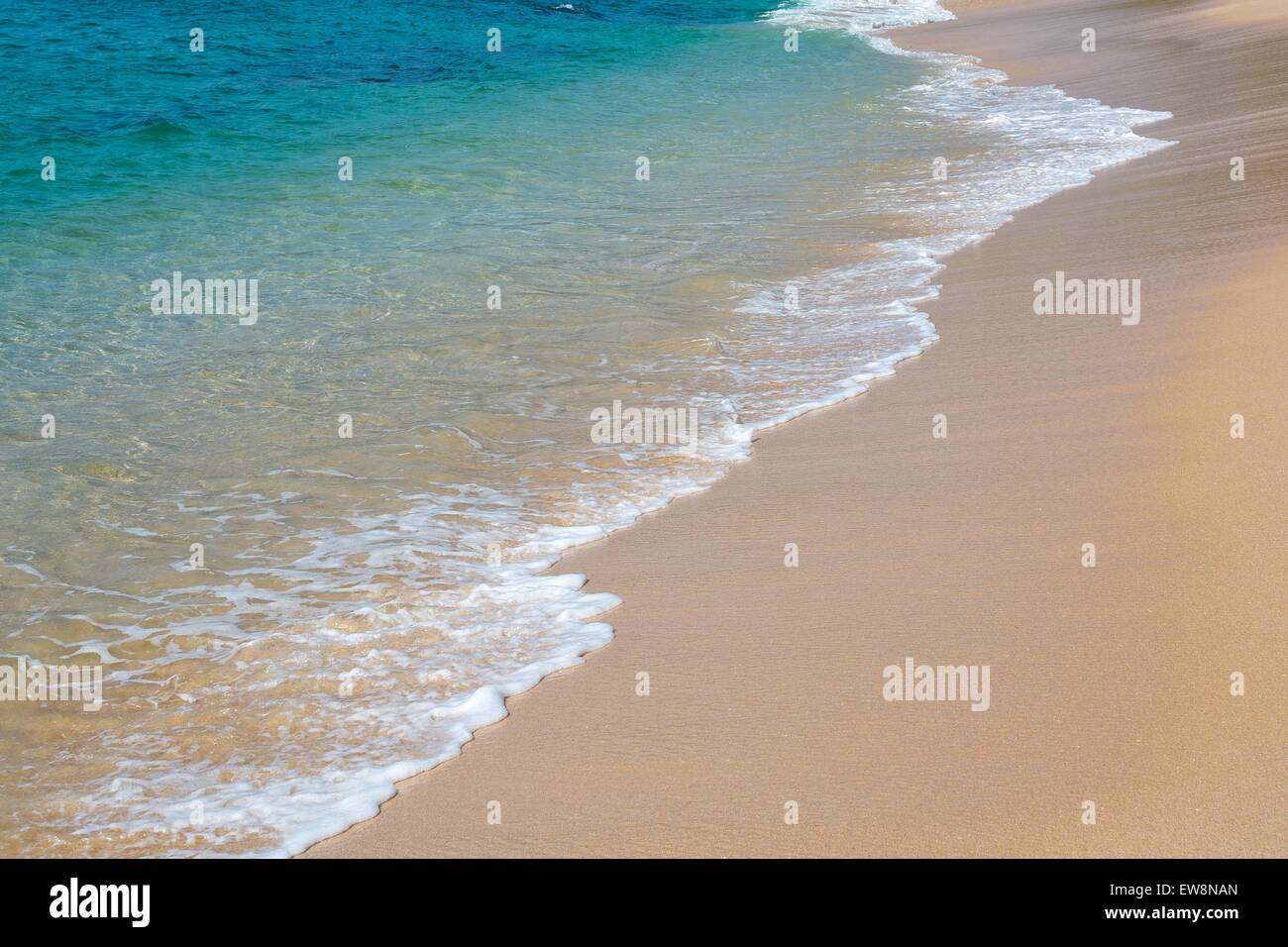 Grüne Welle mit weißen Seafoam Closeup auf sandigen Paradiesstrand, Sri Lanka, Asien. Stockfoto