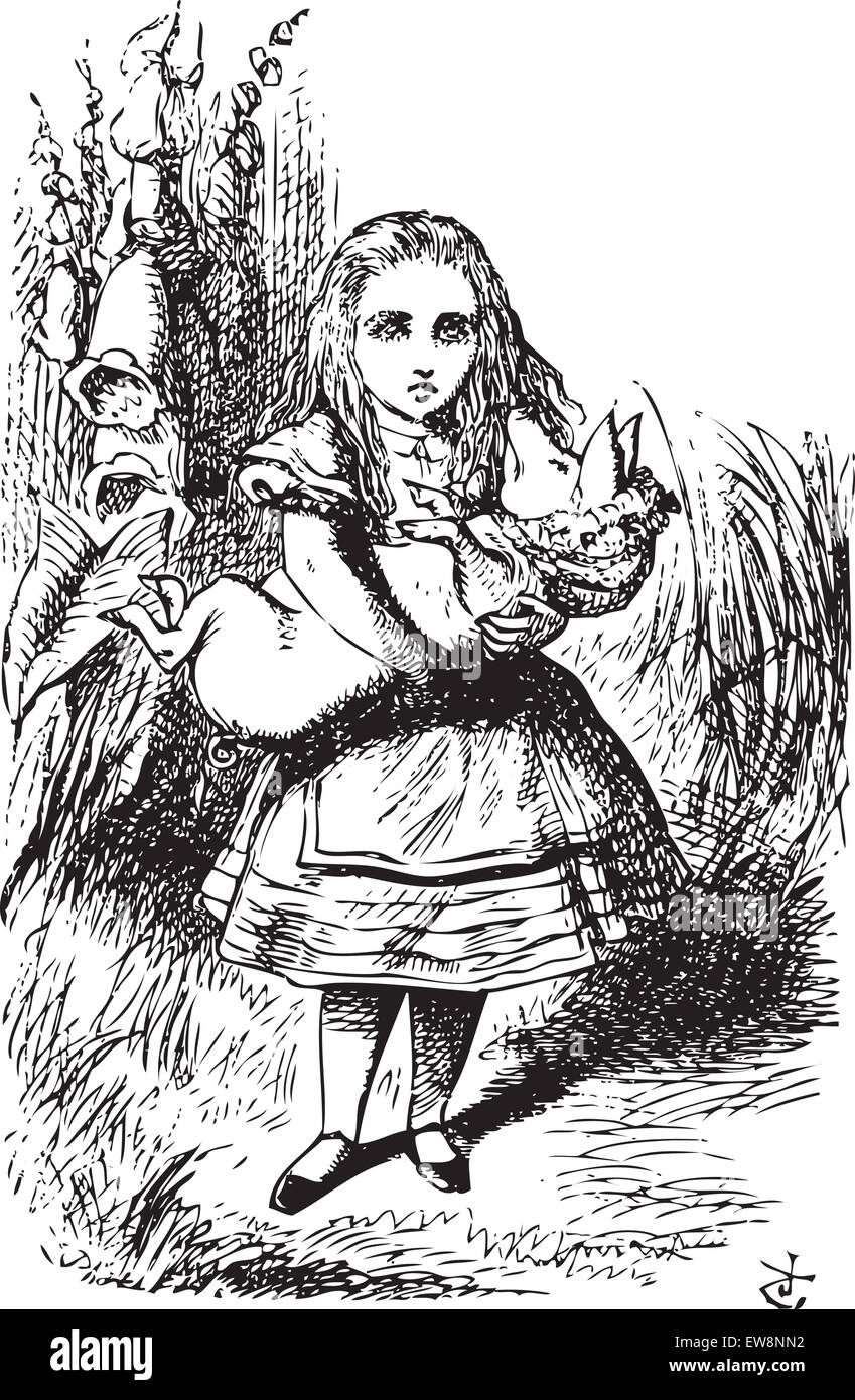 Alice und das Schwein Baby - Alice's Adventures in Wonderland original vintage Gravur. Dieser Zeit konnte es keine Fehler zu machen: es war nicht mehr und nicht weniger als ein Schwein, und sie fühlte, dass es völlig unsinnig wäre, wenn Ihr es weiter zu tragen. Stock Vektor