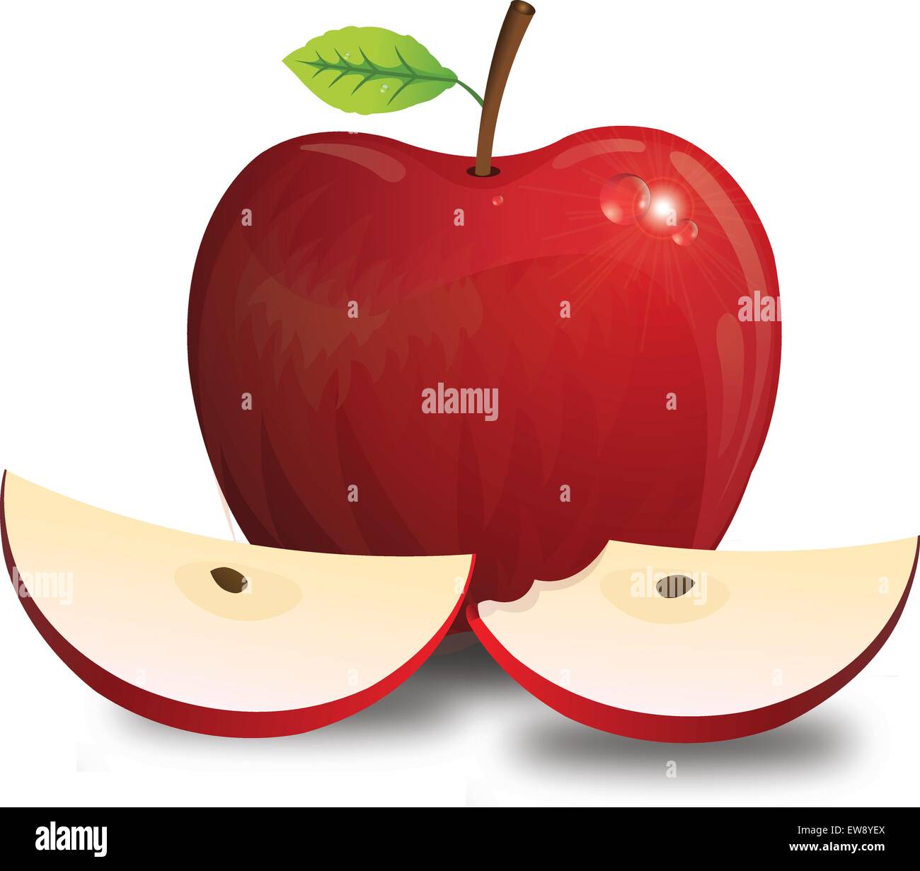 Apfel, Obst, rot, mit Stiel-Blatt-Samen, ganz und Geschnetzeltes, gebissen, Vektor-Illustration Stock Vektor