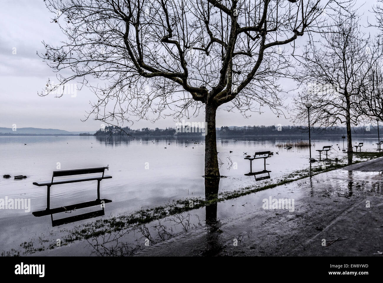 Lago di Varese, Überschwemmungen in Gavirate - Lombardei, Italien Stockfoto