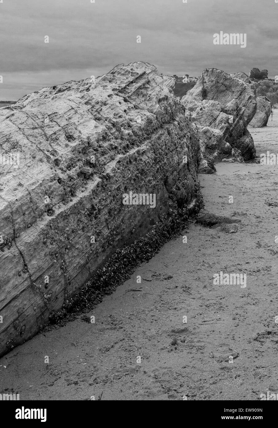 Felsen am Strand bei Ebbe. In schwarz und weiß. Stockfoto