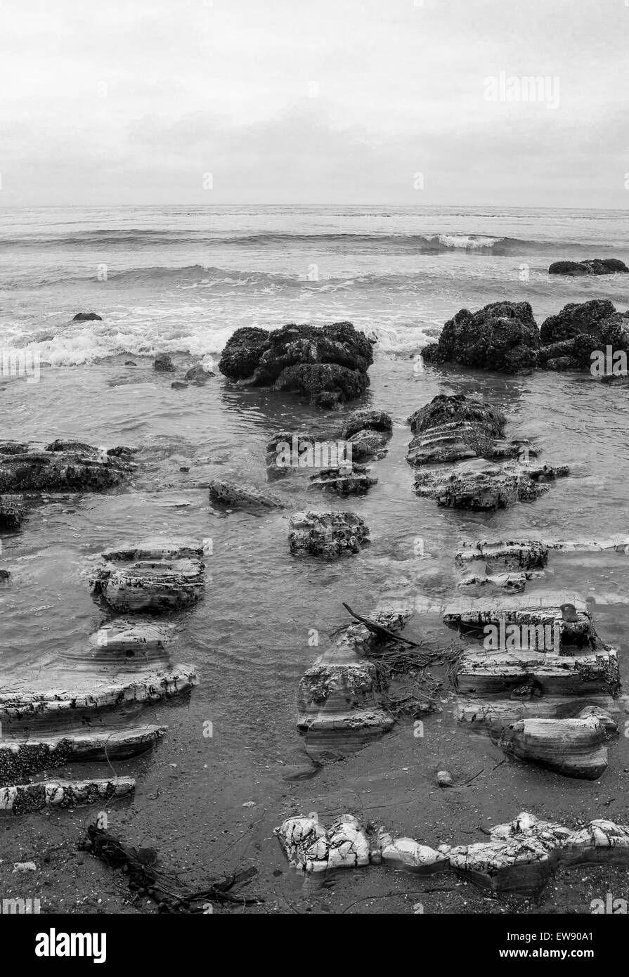 Felsen am Strand bei Ebbe. In schwarz und weiß. Stockfoto