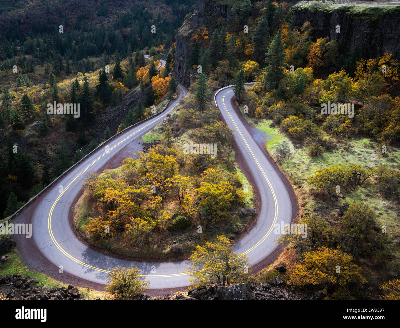 Geschwungene Straße (Columbia River Gorge historische Straße) mit den Farben des Herbstes. Columbia River Gorge National Scenic Bereich, Oregon Stockfoto