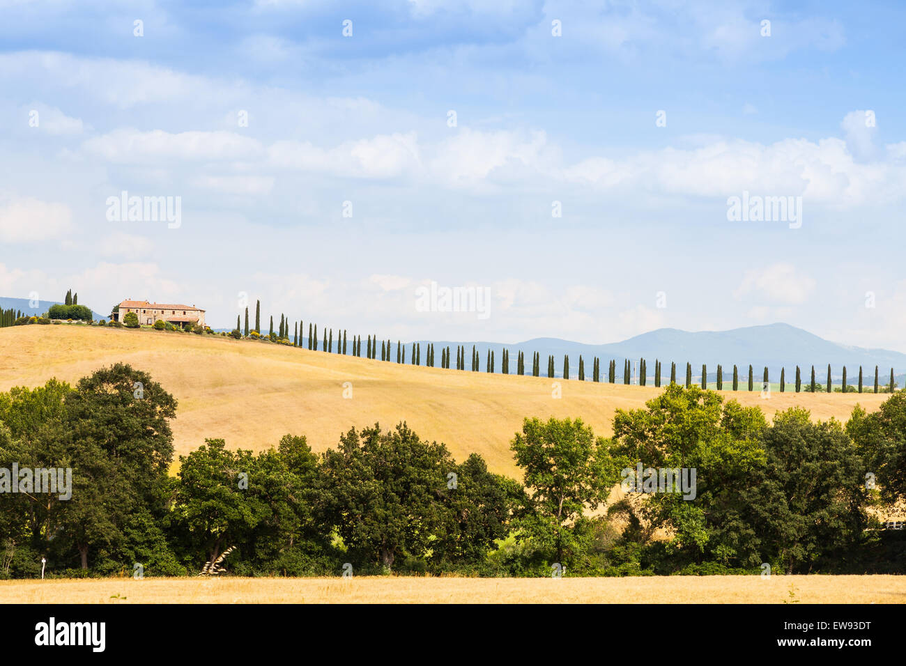 Toskana, Val d ' Orcia. Wunderbare Landschaft an einem sonnigen Tag, kurz vor Ankunft der Regen Stockfoto