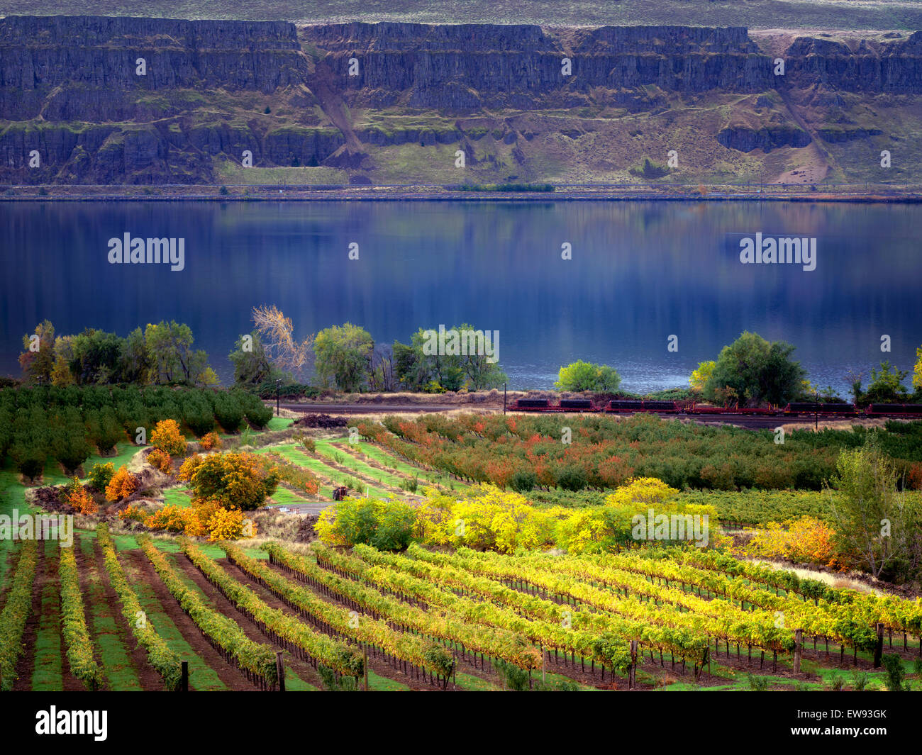 Weingut mit Herbstfarben. Columbia River Gorge National Scenic Bereich, Washington Stockfoto