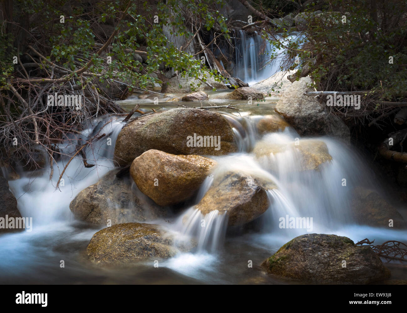 Lone Pine Creek unter Mt. Whitney Stockfoto