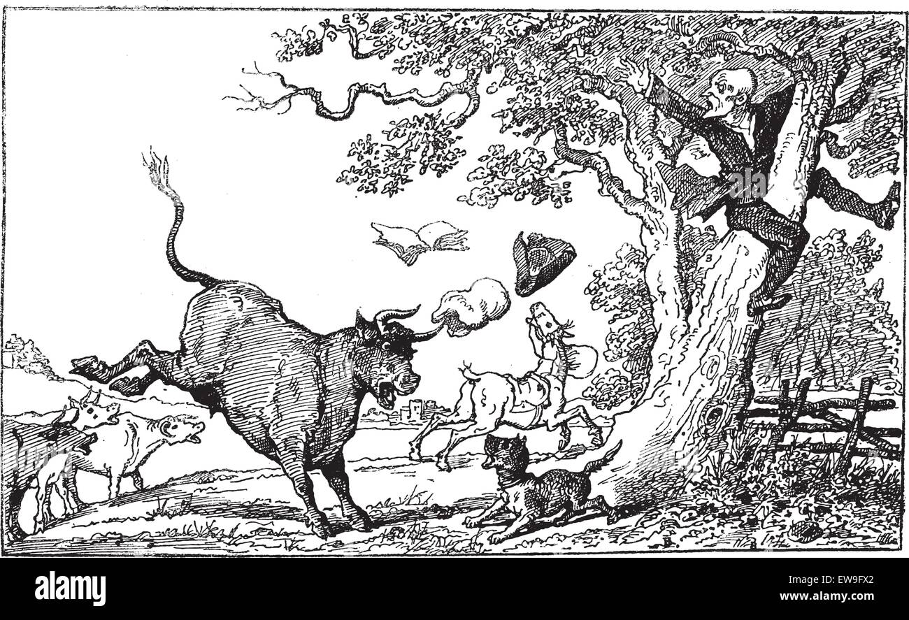 Arzt Syntax gejagt von einem Stier, von Thomas Rowlandson, Vintage gravierten Abbildung. Le Magasin Pittoresque - Larive und F Stock Vektor