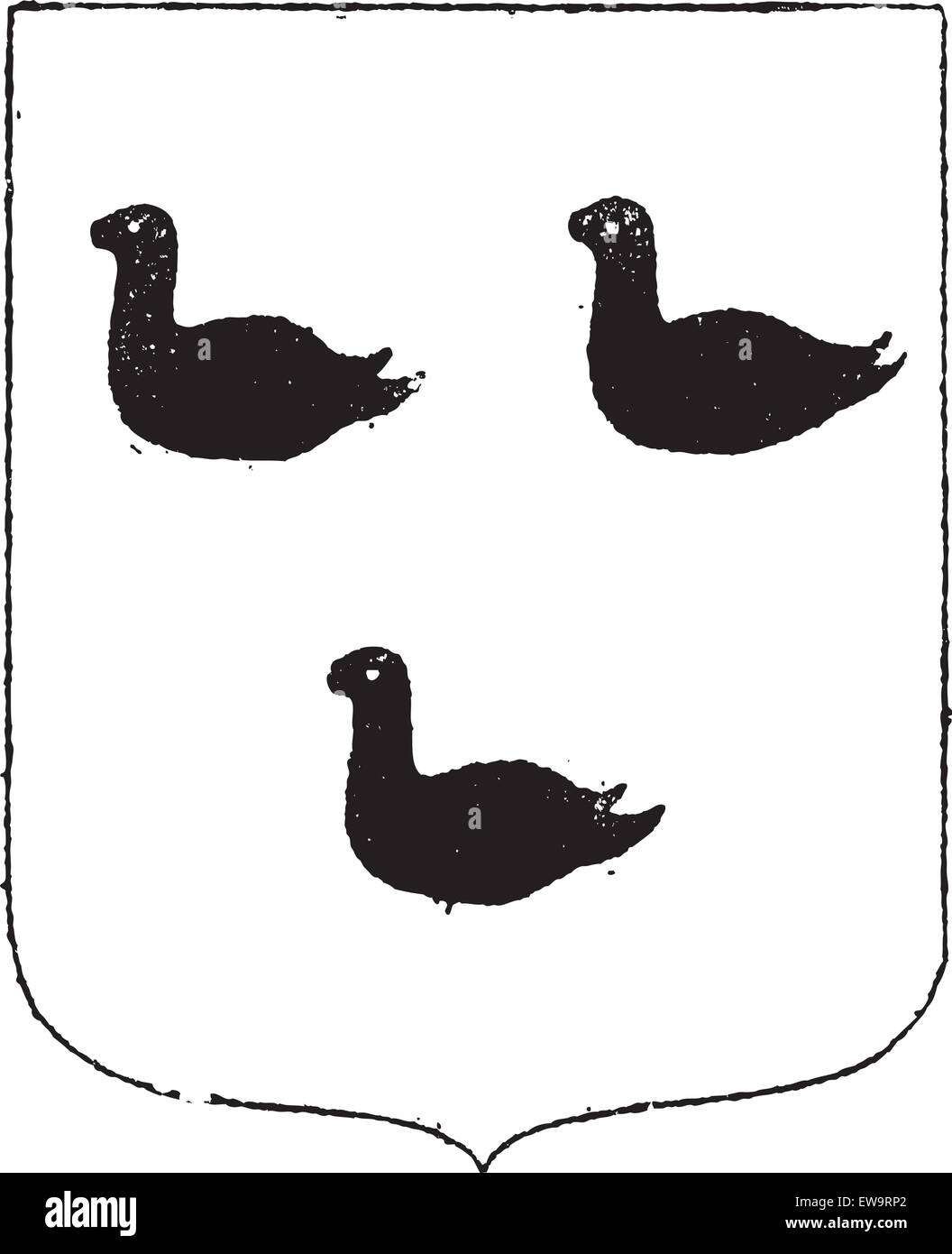 Swan Wappen eingraviert zeigt drei Schwäne, Vintage Illustration
