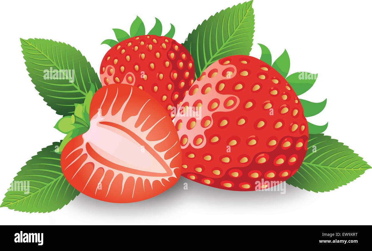 Erdbeere, Frucht, ganze und Halved mit Kelchblätter, Blätter und Stiele, Vektor-illustration Stock Vektor
