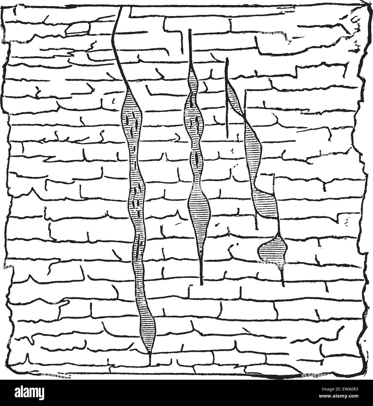 Geologische Vene, Abbildung: Vertikale gash Venen von Erzen (schattiert) innerhalb von Bleiglanz (weißer), Vintage eingravierten Abbildung. Trousset Enzyklopädie (1886 - 1891). Stock Vektor