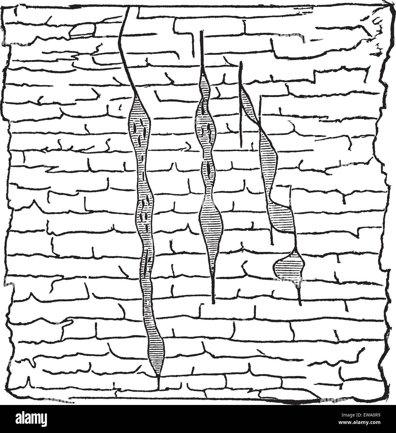 Geologische Vene, Abbildung: Vertikale gash Venen von Erzen (schattiert) innerhalb von Bleiglanz (weißer), Vintage eingravierten Abbildung. Trousset Enzyklopädie (1886 - 1891). Stock Vektor