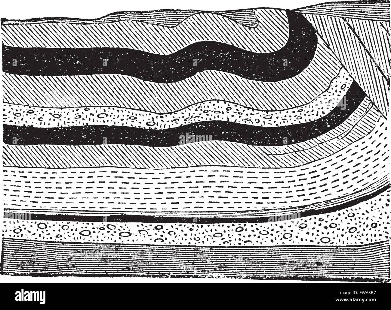 Außenillustration Kohlenschichten in Schichten im Boden, graviert Vintage Illustration. Trousset Enzyklopädie (1886-1891). Stock Vektor