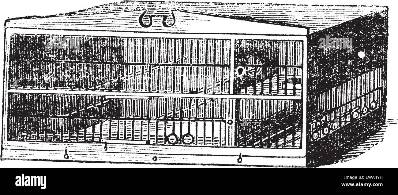 Das Fach von Cage, Vintage Gravur. Alten graviert Abbildung des Kompartiments des Käfigs isoliert auf einem weißen Hintergrund. Stock Vektor