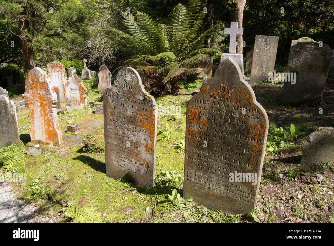 Historische Grabsteine inmitten von subtropischen Pflanzen, St Just in Roseland, Cornwall, England, UK Stockfoto