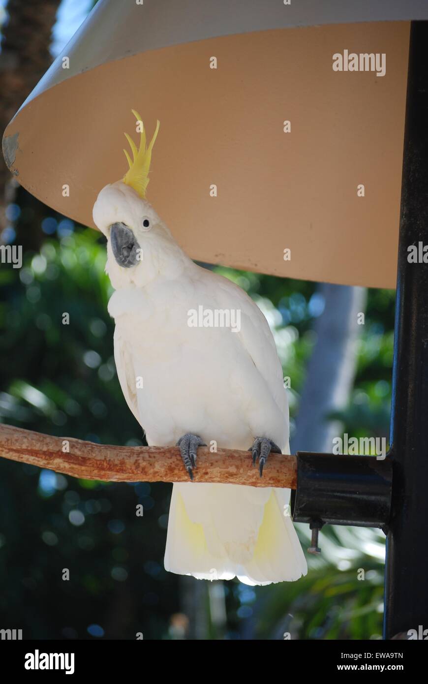 Perched Hut Stockfotos & Perched Hut Bilder - Alamy