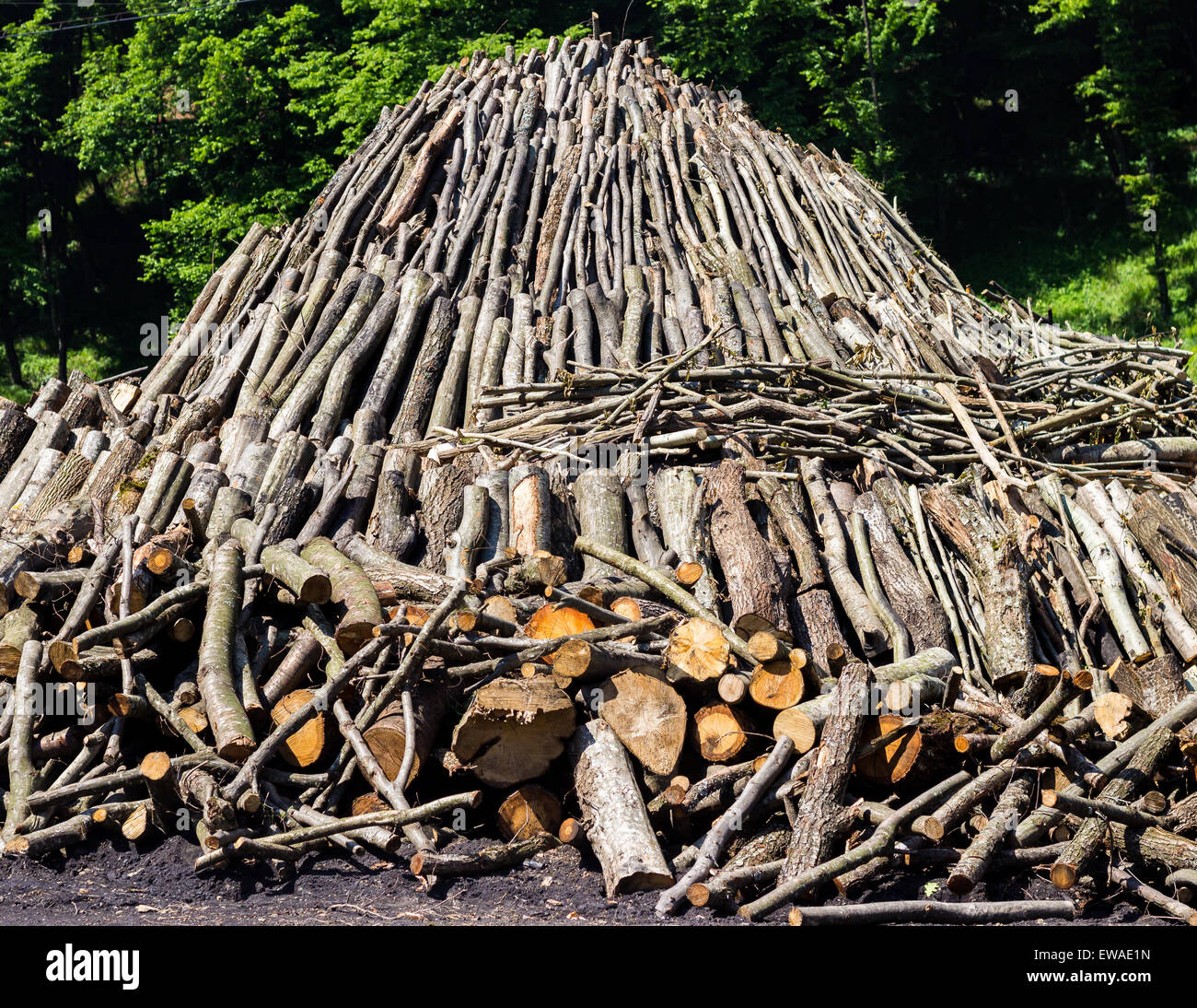 Zerhackt Holz in einem großen, geformte Pyramide Haufen von traditionellen Kohle-Brenner in Rumänien verwendet. Stockfoto