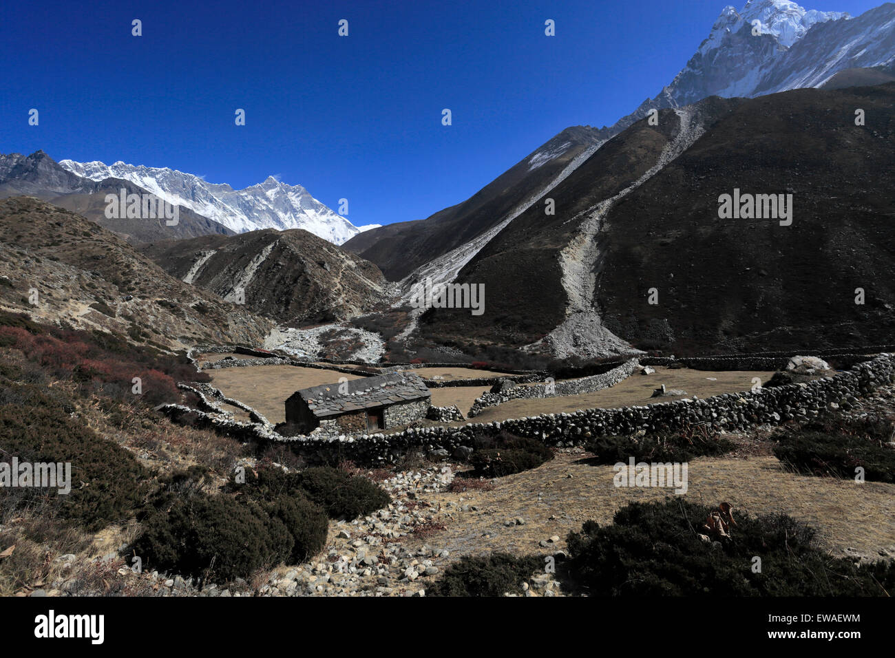 Orsho Dorf, Imja Khola Fluss Tal, Dingboche Pass, Everest base camp Trek, Sagarmatha Nationalpark, UNESCO-Welterbe Stockfoto
