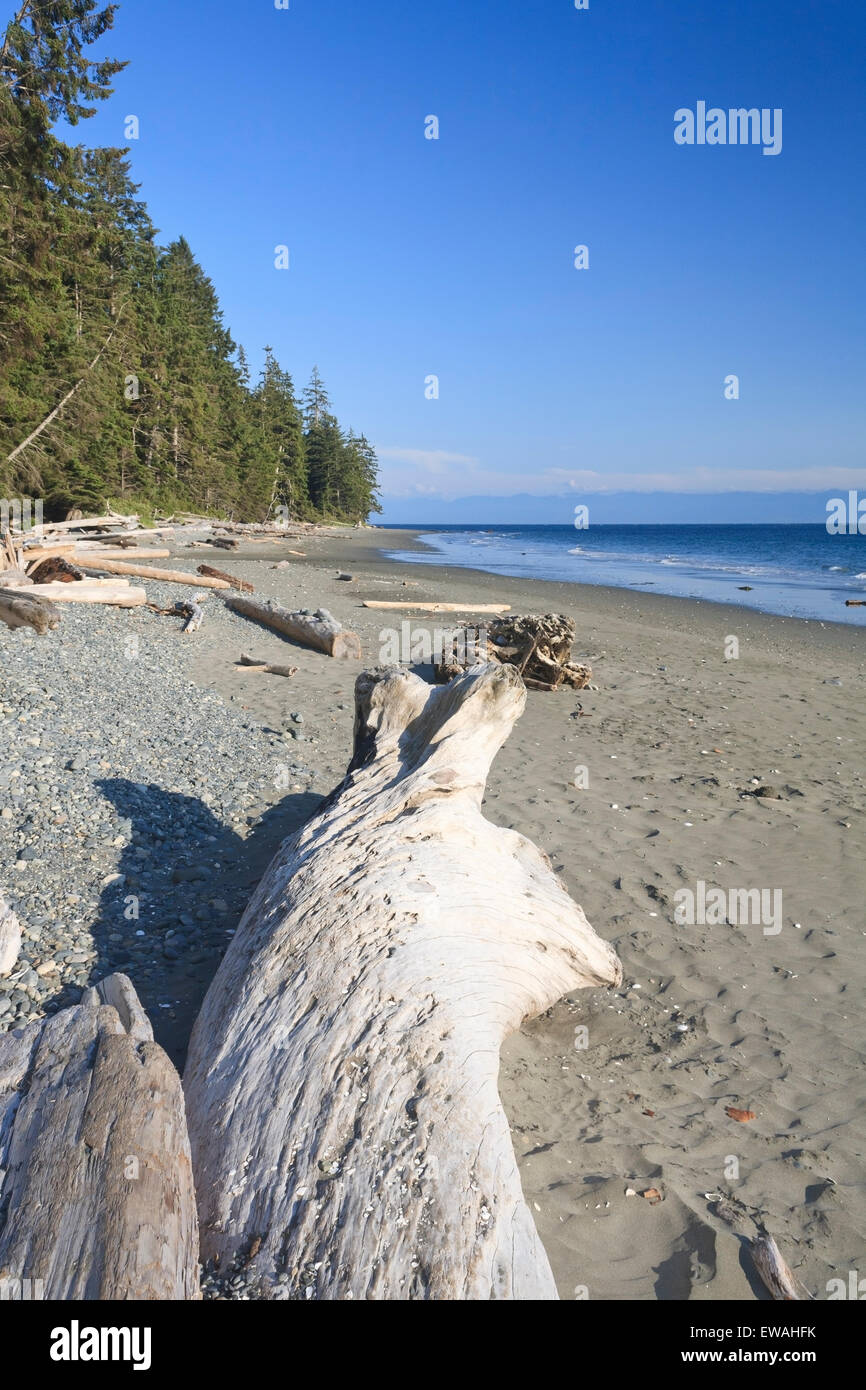 China Beach, Juan de Fuca Provincial Park, Vancouver Island, BC Stockfoto