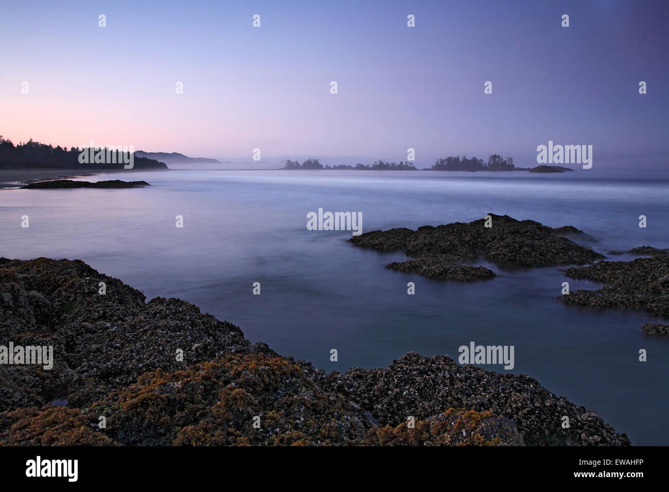 Chesterman Beach an der Dämmerung, Tofino, Vancouver Island, British Columbia Stockfoto