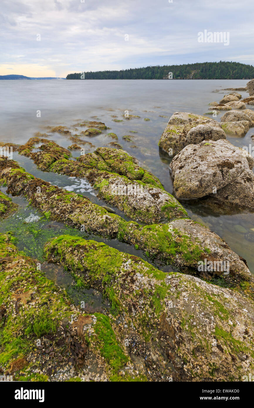 Strand-Szene mit Blick auf die Straße von Georgia, in der Nähe von Nanaimo, Vancouver Island, Britisch-Kolumbien Stockfoto