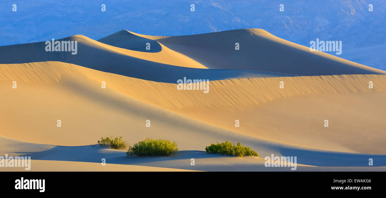 Sonnenaufgang in den Mesquite flache Sanddünen im Death Valley Nationalpark in Kalifornien, USA Stockfoto