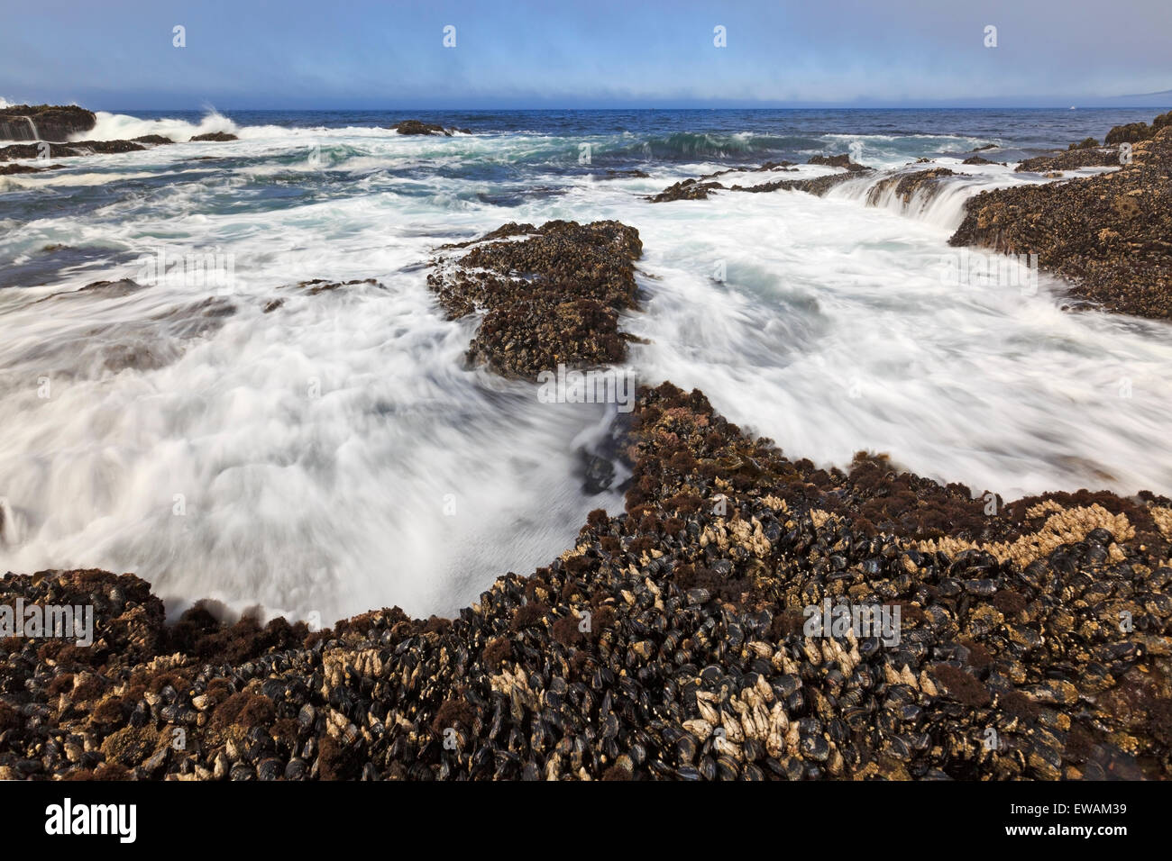 Wellen, die an Land Botanical Beach, Juan de Fuca Provincial Park, Vancouver Island, BC Stockfoto