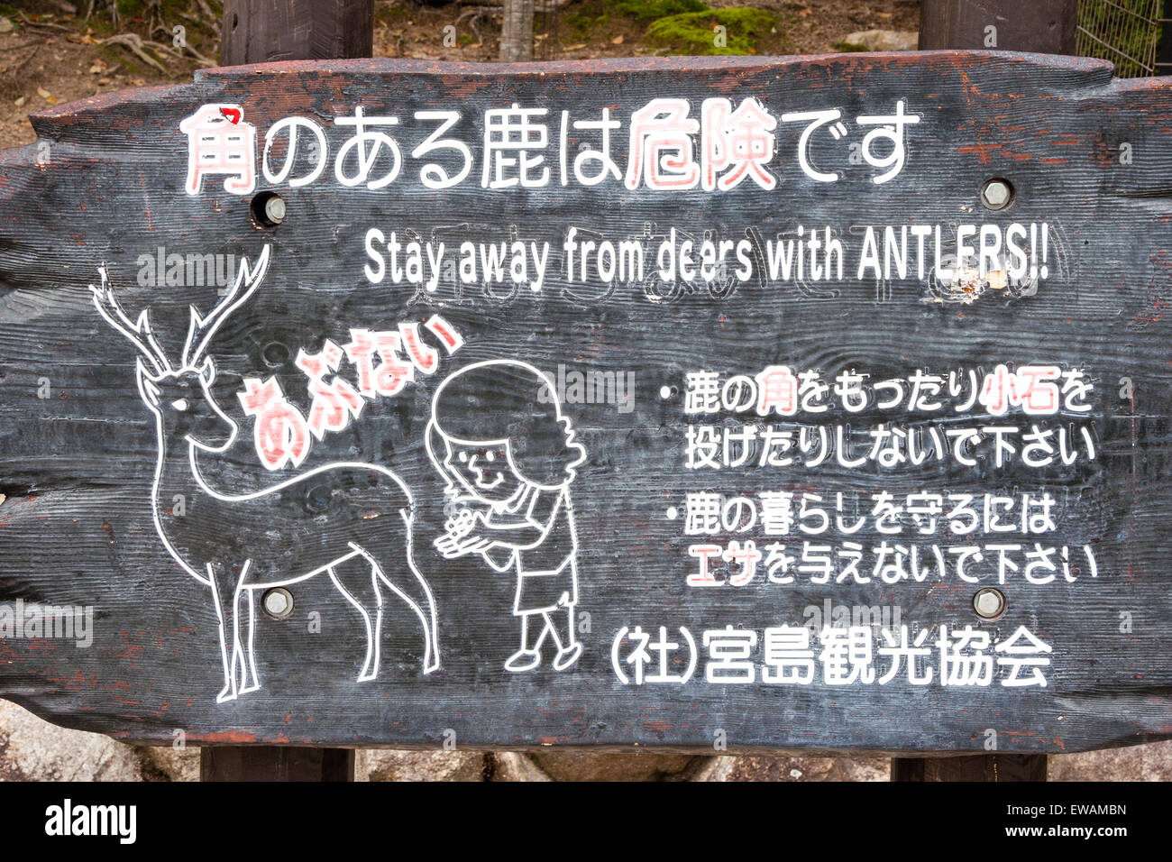 Japanische Zeichen Warnung Kinder der Gefahr vom Hirsch mit geweih an der touristischen Attraktion, der Insel Miyajima, Japan, wo Hirsche Spaziergang rund um Straßen. Stockfoto