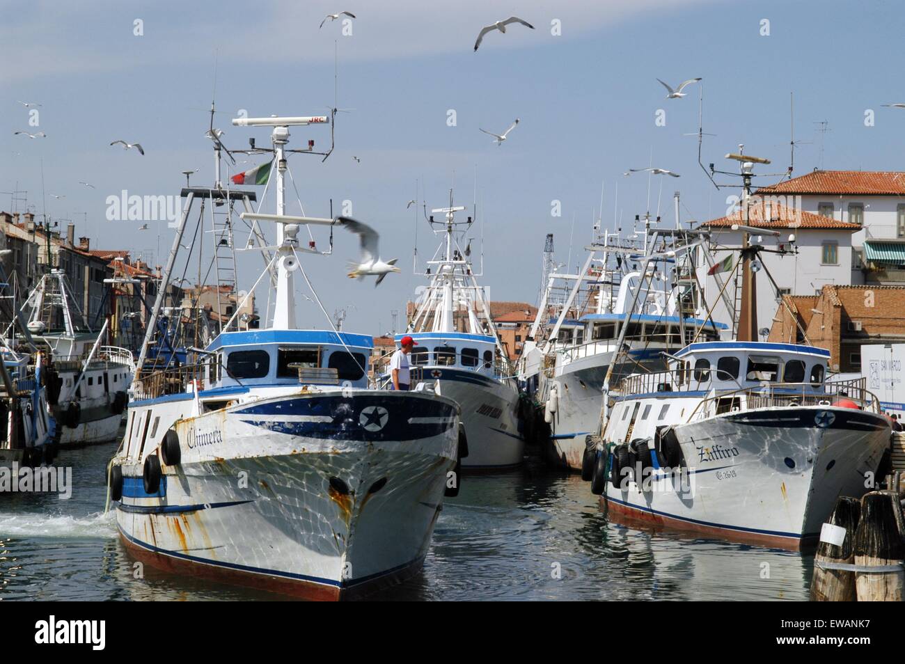 Landeplatz der Angelboote/Fischerboote in Chioggia, Lagunenstadt südlich von Venedig (Italien) Stockfoto